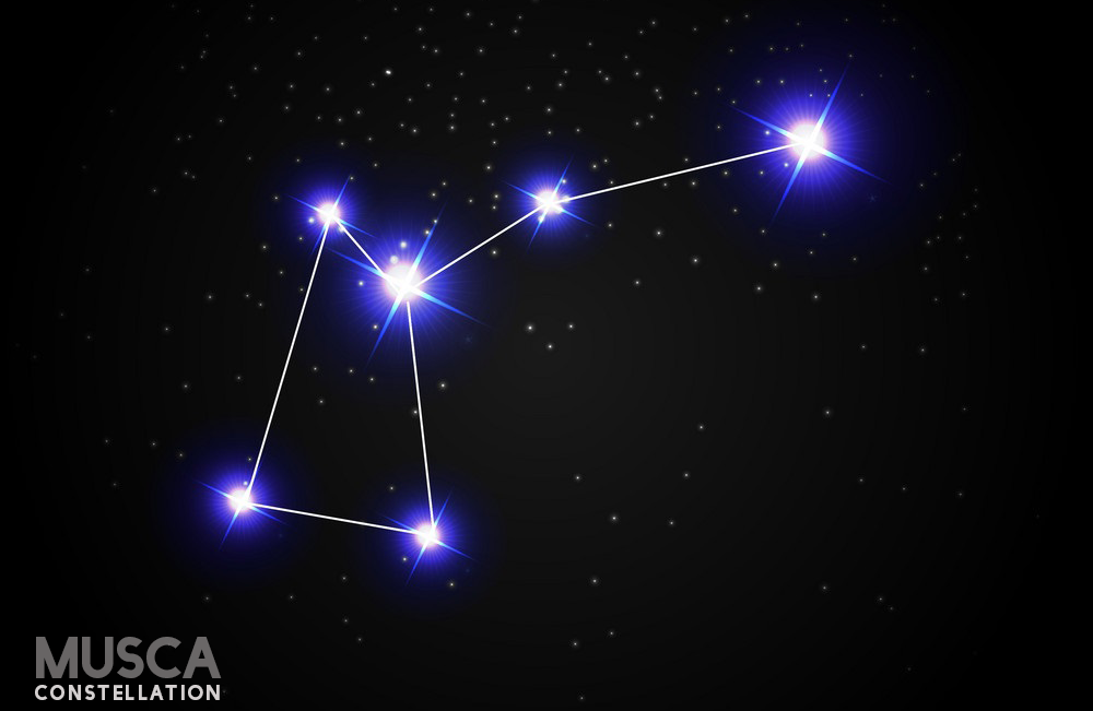 An image of a musca constellation