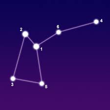 The musca constellation and the stars that connect it